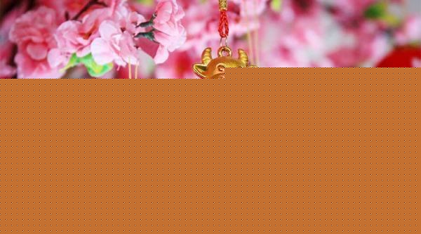 SME Chinese New Year Bazaar