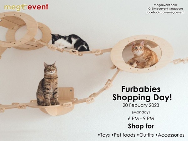 Furbabies Shopping Day!